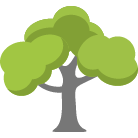 Fredericksburg Tree Removal