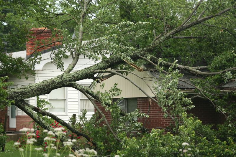 Storm Damage Response